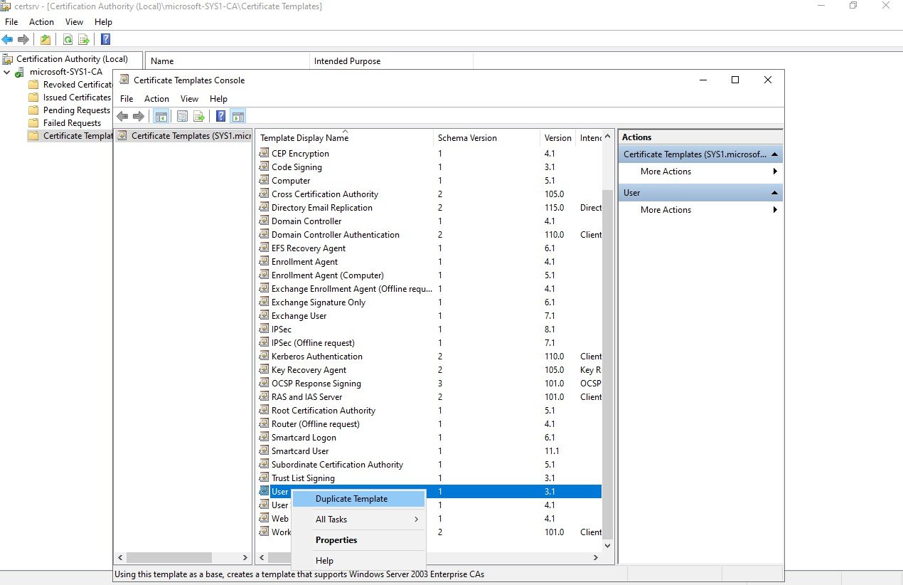 Step 29 Screenshot